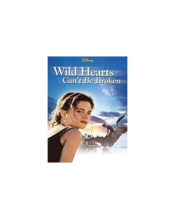 아틀란틱의 꿈 Wild.Hearts.Can't.Be.Broken.1991.WEBRip.1080p.x265.10bit.EAC3-…