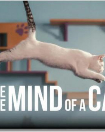 고양이는 왜 고양이일까 Inside the Mind of a Cat,2022.1080p.KOR.FHDRip.H264.AAC-R…